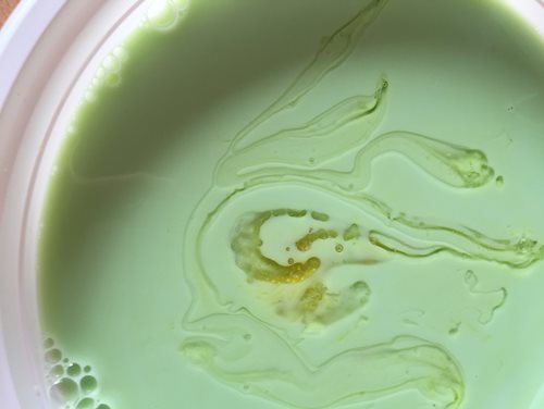 Półkolonie letnie z Kids` World 2017