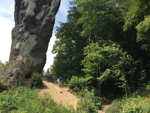 Półkolonie letnie z Kids` World 2017