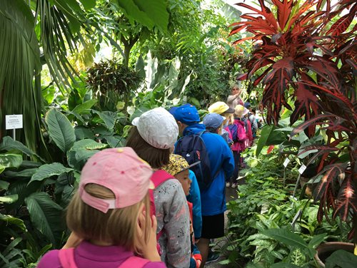 Półkolonie letnie z Kids` World 2017