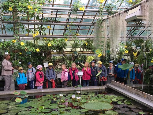 Półkolonie letnie z Kids` World 2017